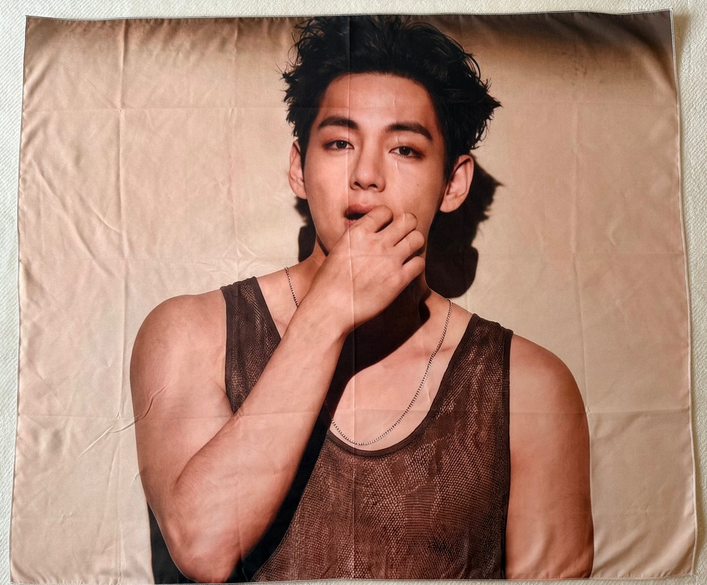 BTS V (Kim Taehyung) Concert Fan Banner – 6 Designs | SeoulfulSF